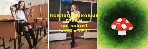 герыч Алексин