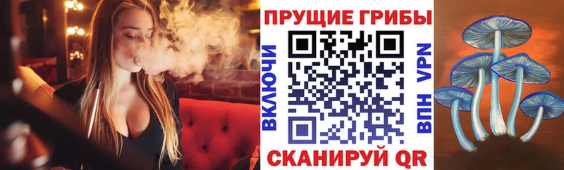 Галлюциногенные грибы прущие грибы  блэк спрут зеркало  дарк нет официальный сайт  наркотики  Светлый 